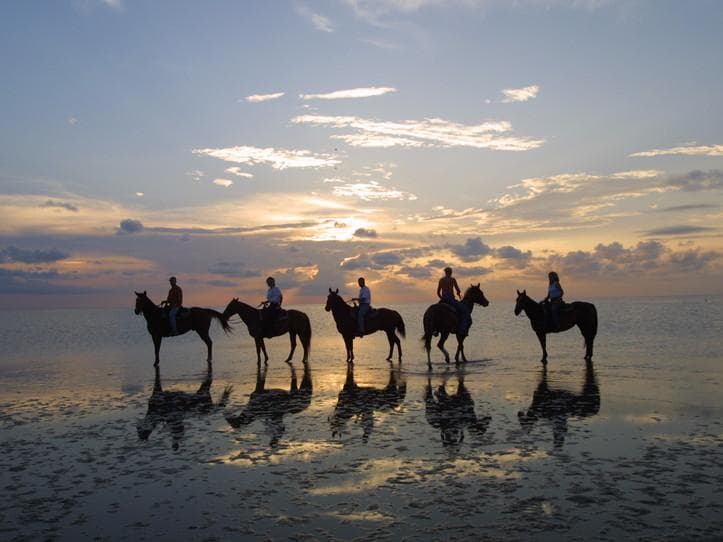 Spectacular Sunset Horseback Ride