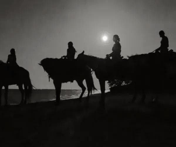 Moonlight Horseback Ride